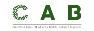 Cesar Avila Benech